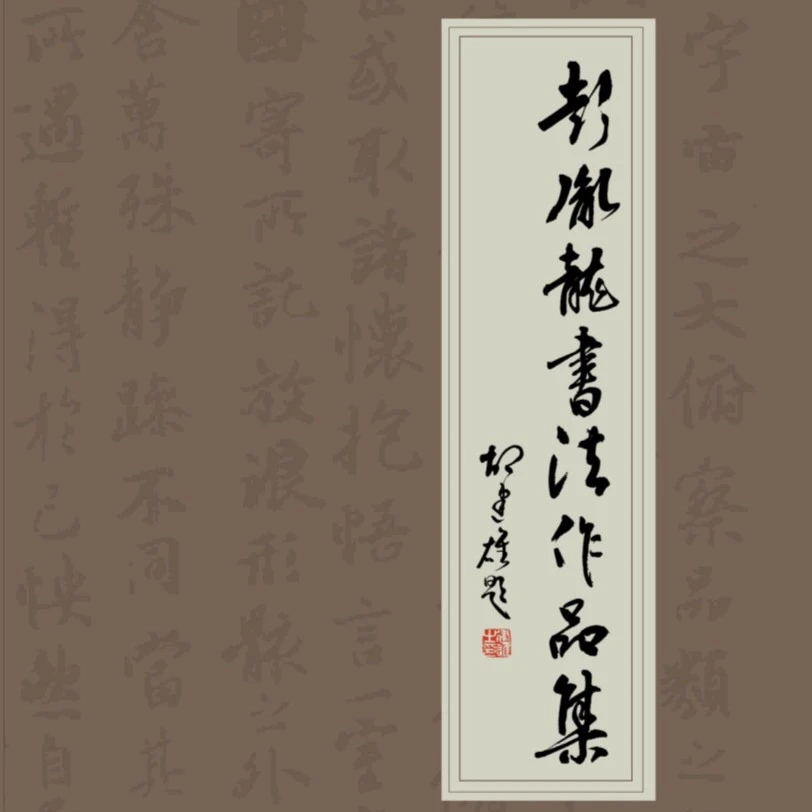 彭胤龙手写书法作品集尺寸21x29cm