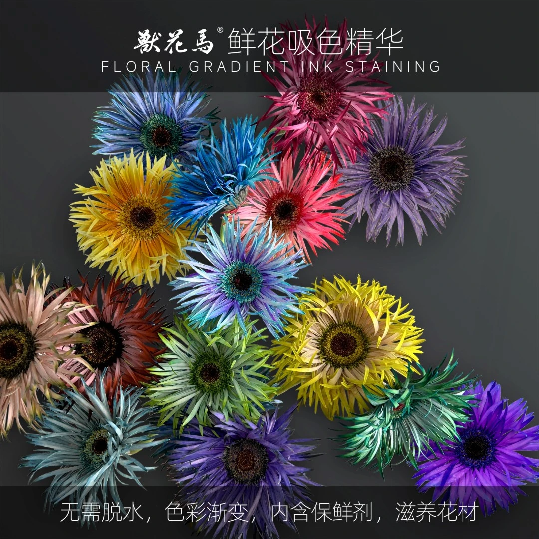 兽花马【鲜花吸色精华】/鲜花吸色染色剂/水墨染/时光染/经典染