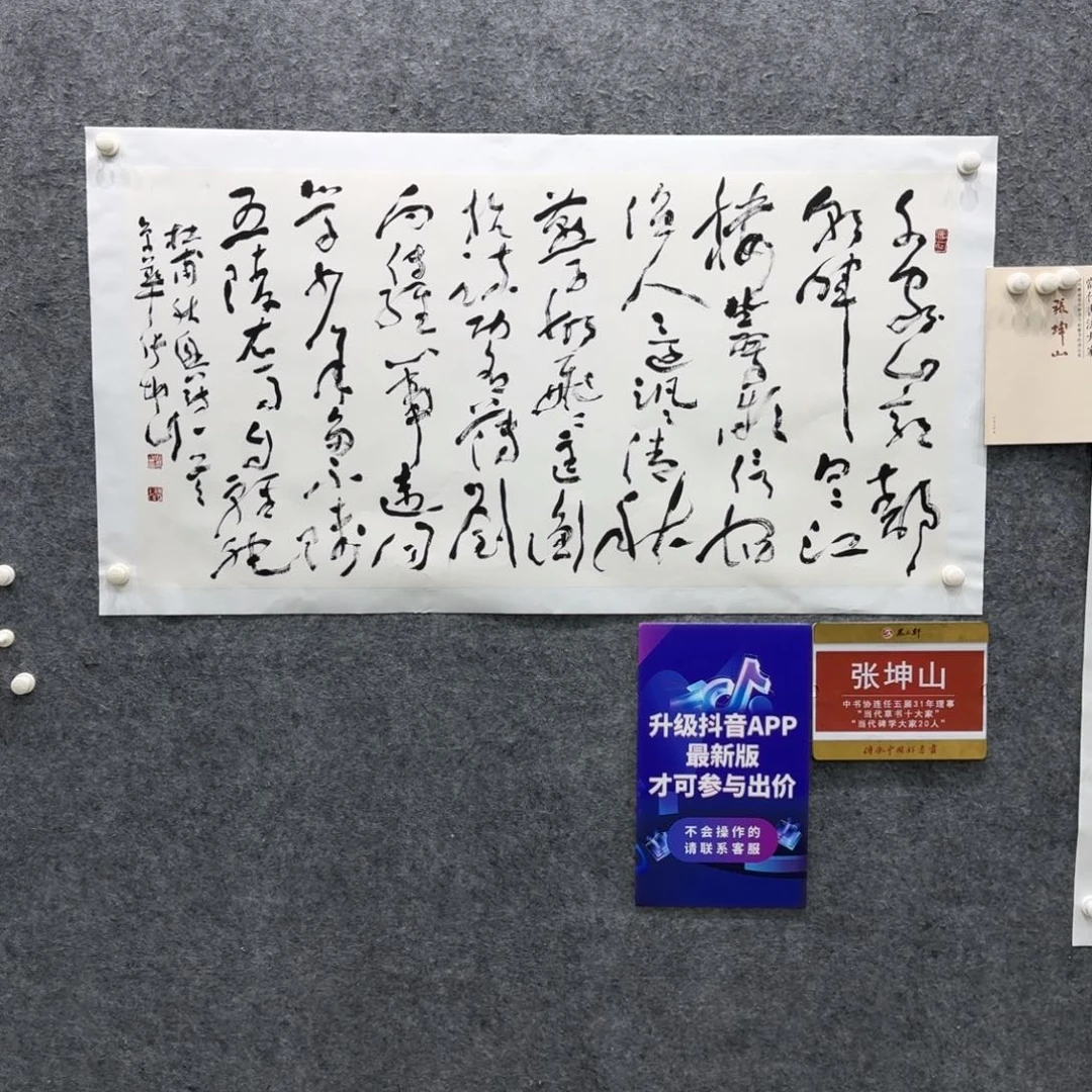 书法书法ZKS老师作品