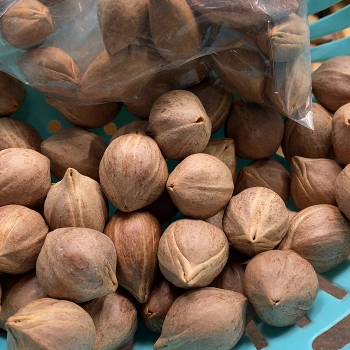 吊坠橄榄核大**景打包