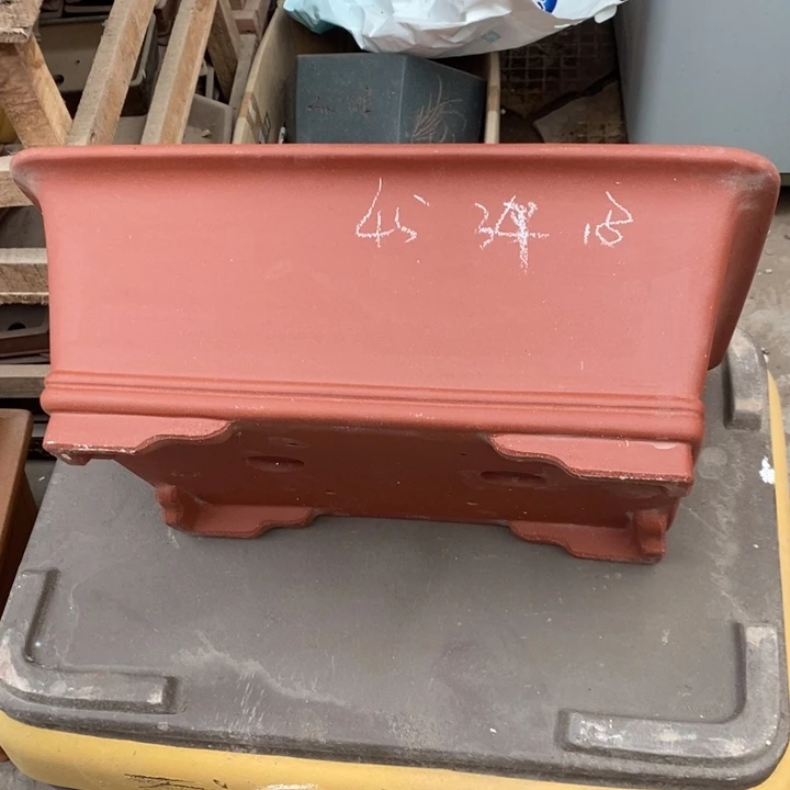 紫砂花盆只顾吃药睡