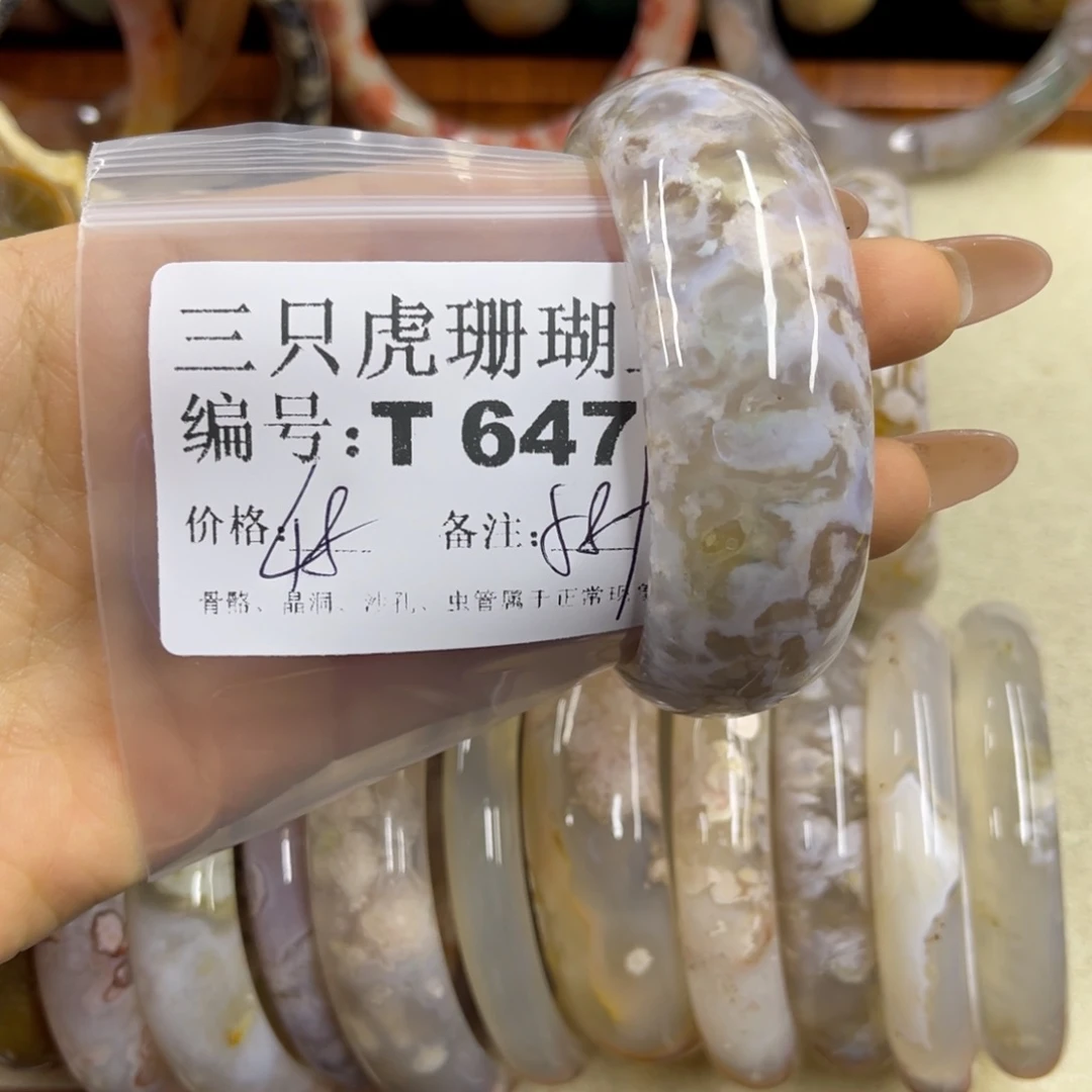 好***ง硅化珊瑚（珊瑚玉）未镶嵌h