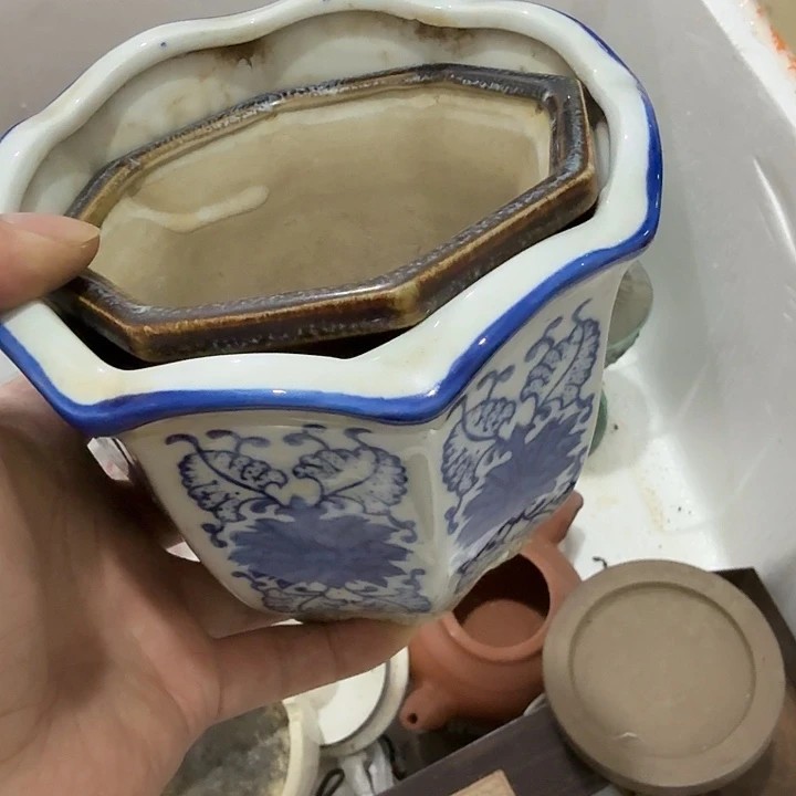 鹭***江扇子吃g个恍恍惚惚哈哈哈哈哈哈哈