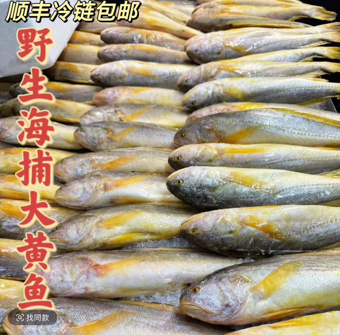 7条（鲜冻）野生黄鱼7两左右每条蒜瓣肉码头直发生鲜海鲜 中秋送礼