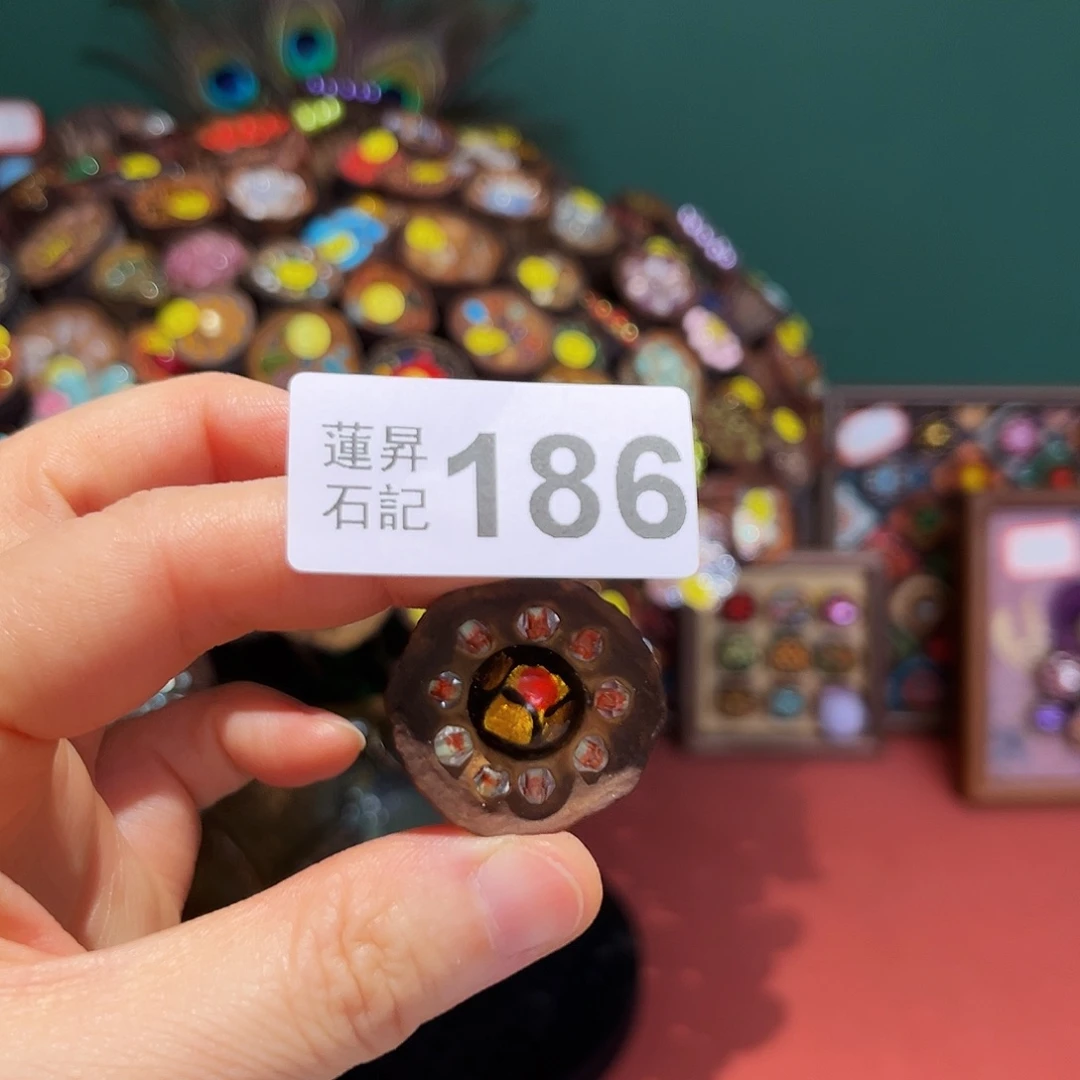柚***茶核桃木/黑胡桃（胡桃木）186