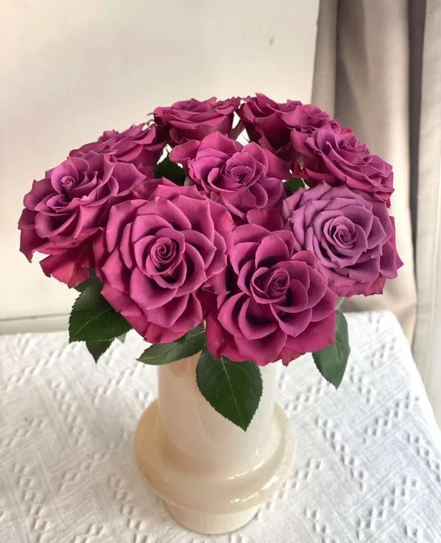 蓝莓单头玫瑰  相同地址任意两单送配草一束