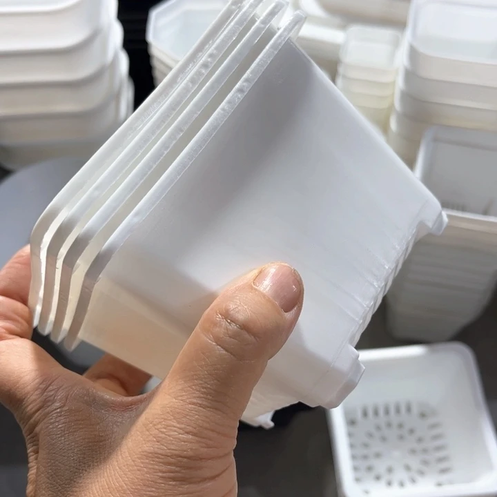 白方口11高8一组15