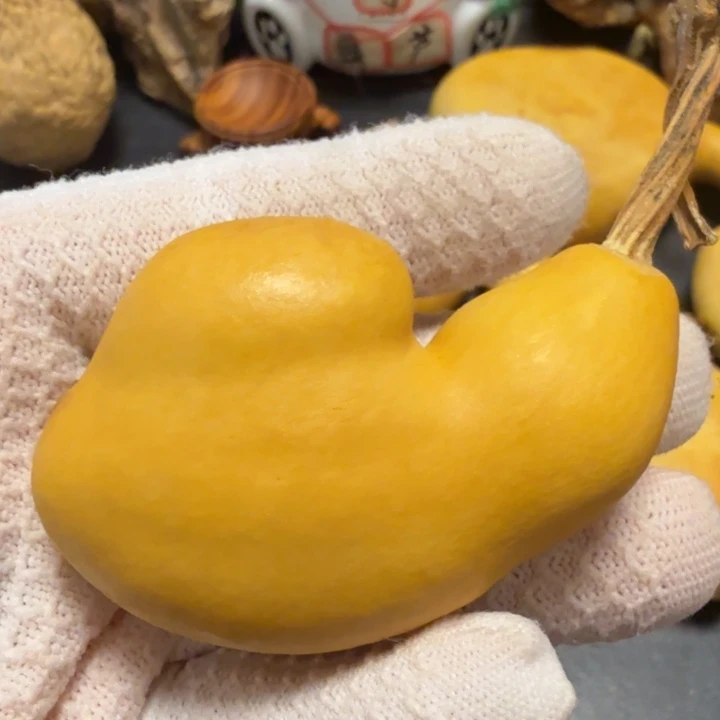 拥***梦666666666666667777776