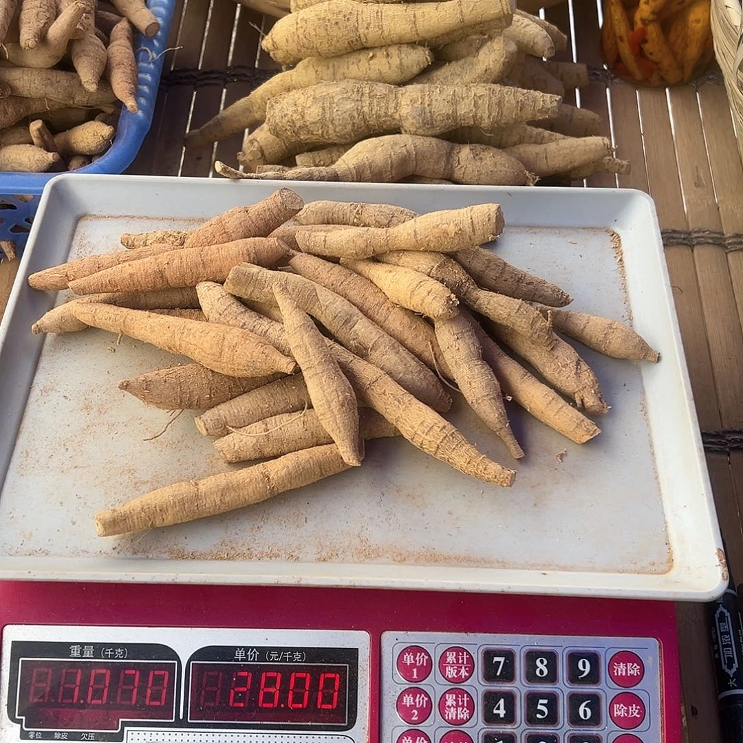 中国大陆黄牛煲汤泡酒甘甜