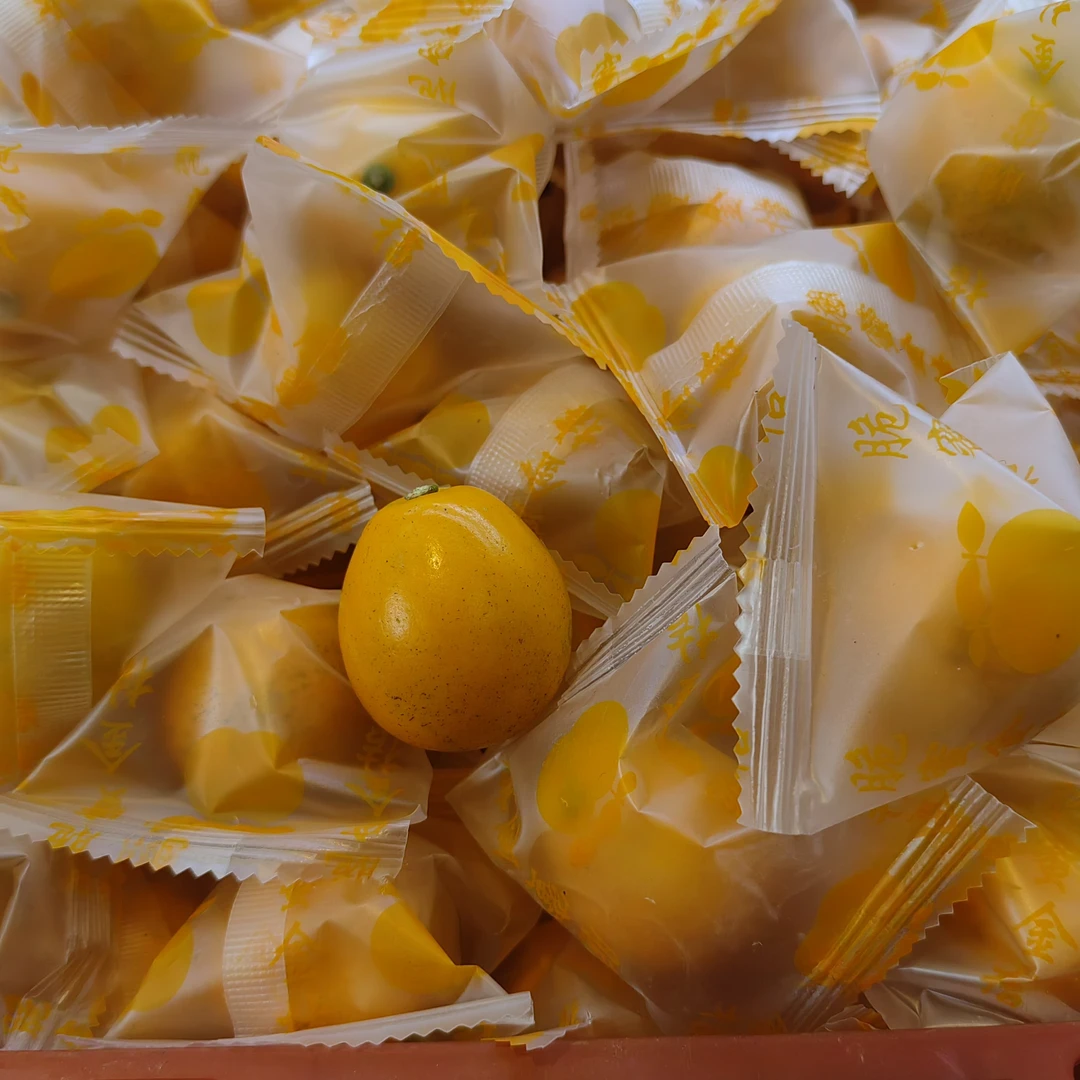 鑫鲜果屋广西蜜脆金桔(500g)