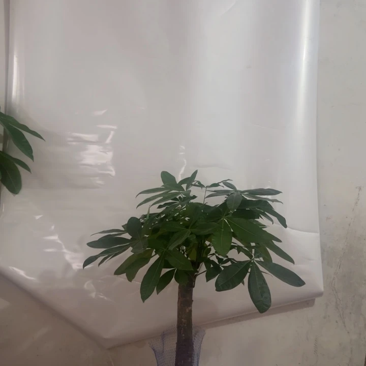 完全开放个风风光光会很尴尬