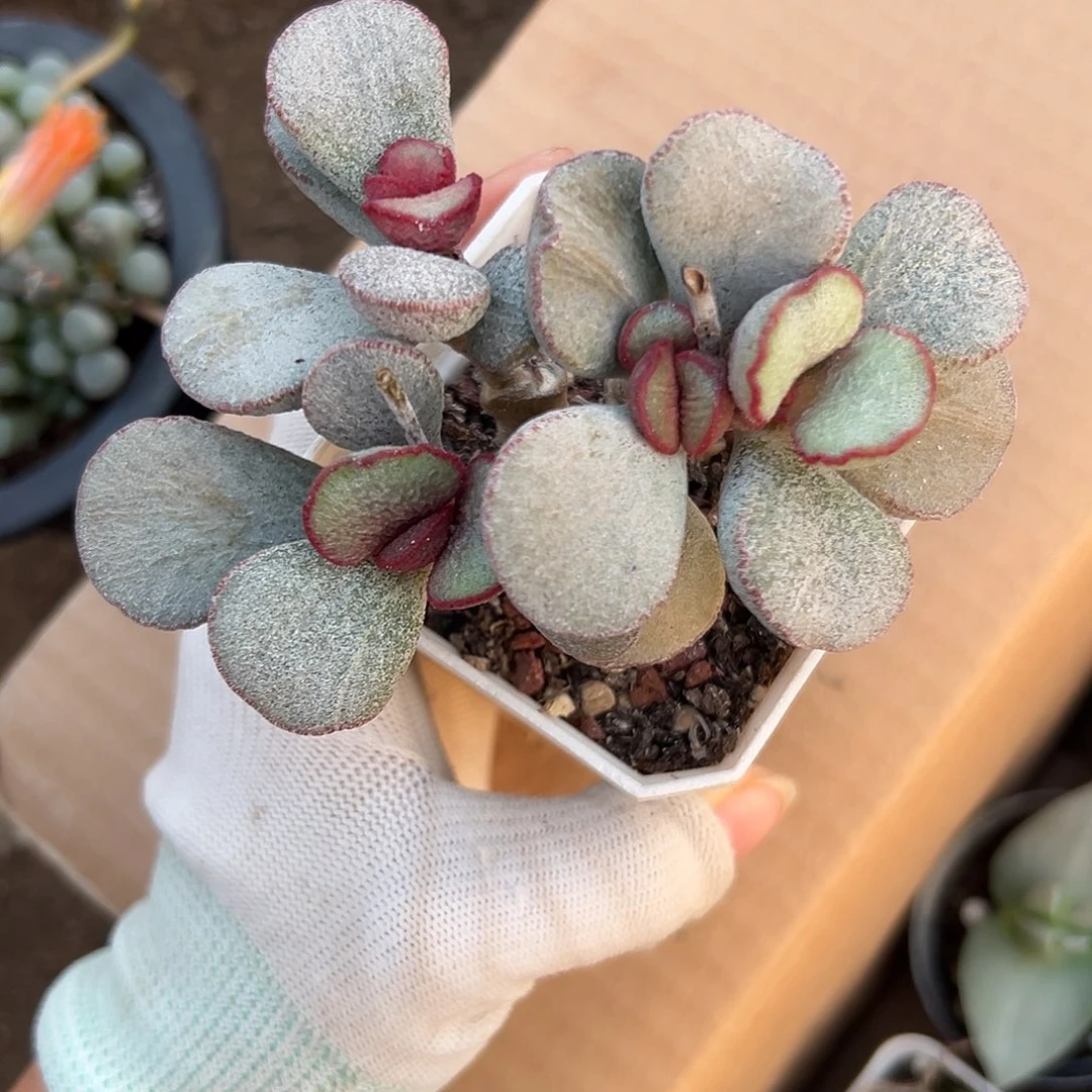 饿了呃呃呃呃呃呃呃呃