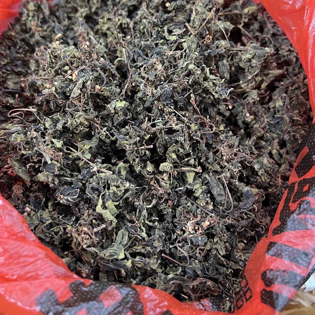 山里农户自晒野生雨花菜