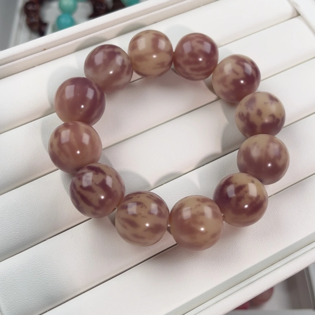 菩提根/象牙果吊坠福利微全22不退换