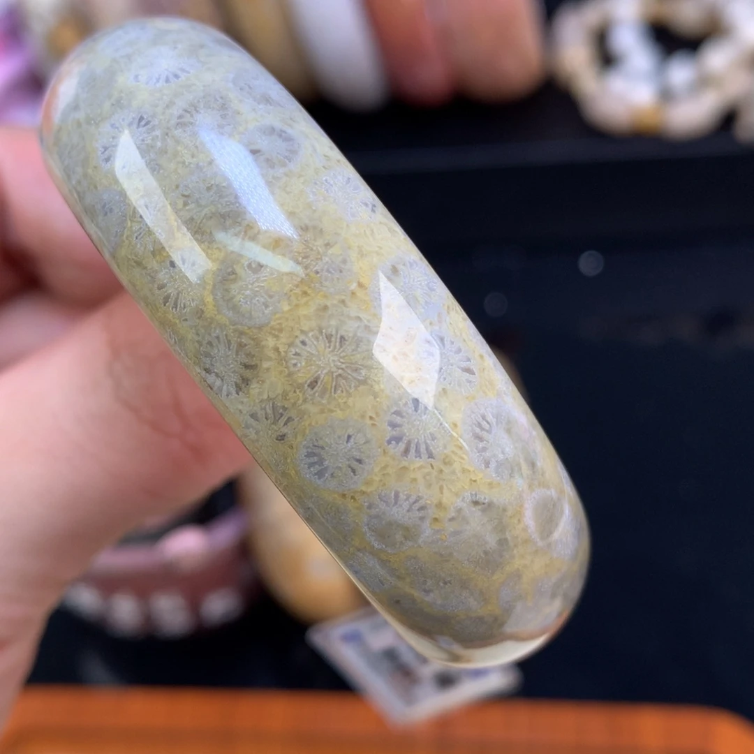 硅化珊瑚（珊瑚玉）未镶嵌颈饰76号51.5圈瓷片花