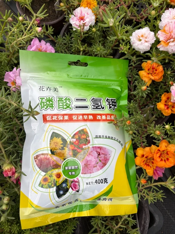 磷酸二氢钾400g水溶肥 叶面肥 催花 太阳花多肉球根可用 可喷可施