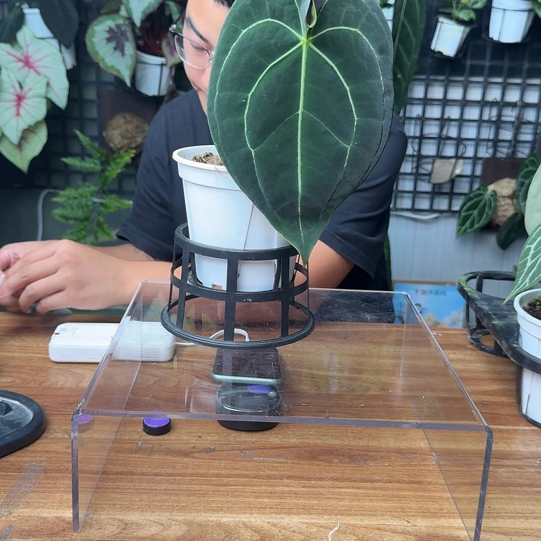 刘***生完全开放一物一拍61号