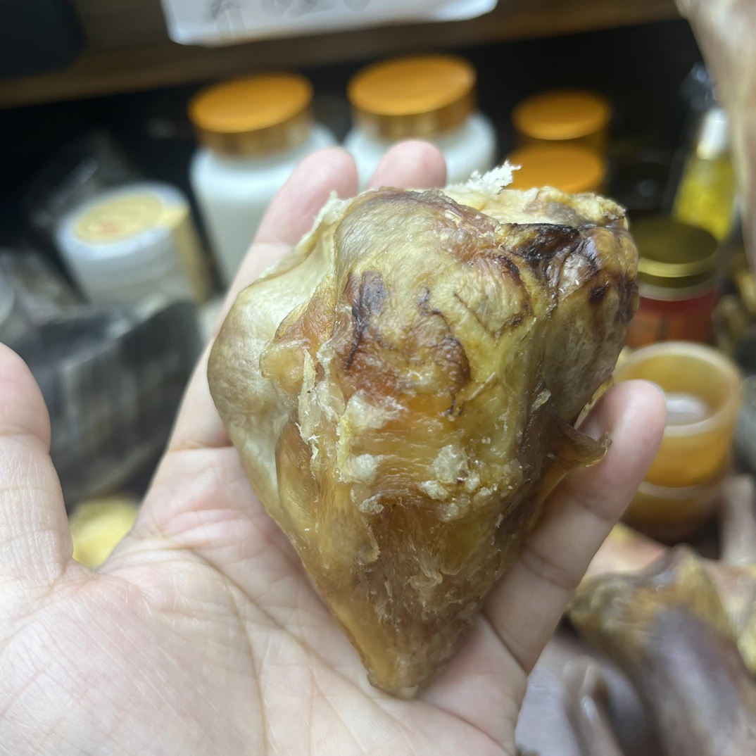 髌骨精品骨料驼骨5骨文玩摆件