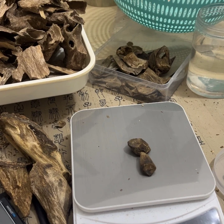 沉香沉香碎屑树丁