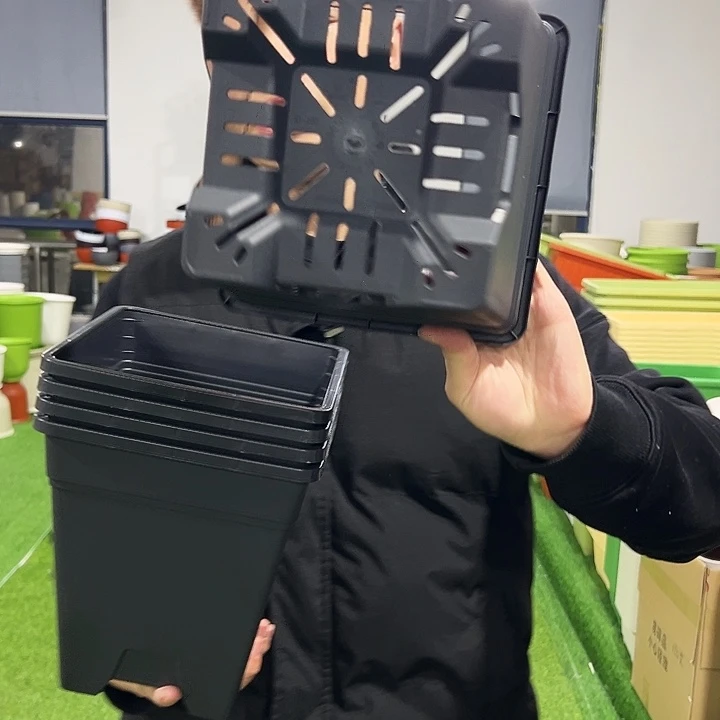 清仓方盆口20高22黑色5只无托