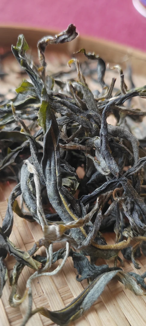 2025年大雪山春古树茶