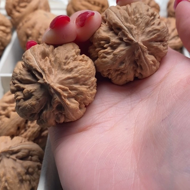 老***童霸王龙全品无修一刀没动