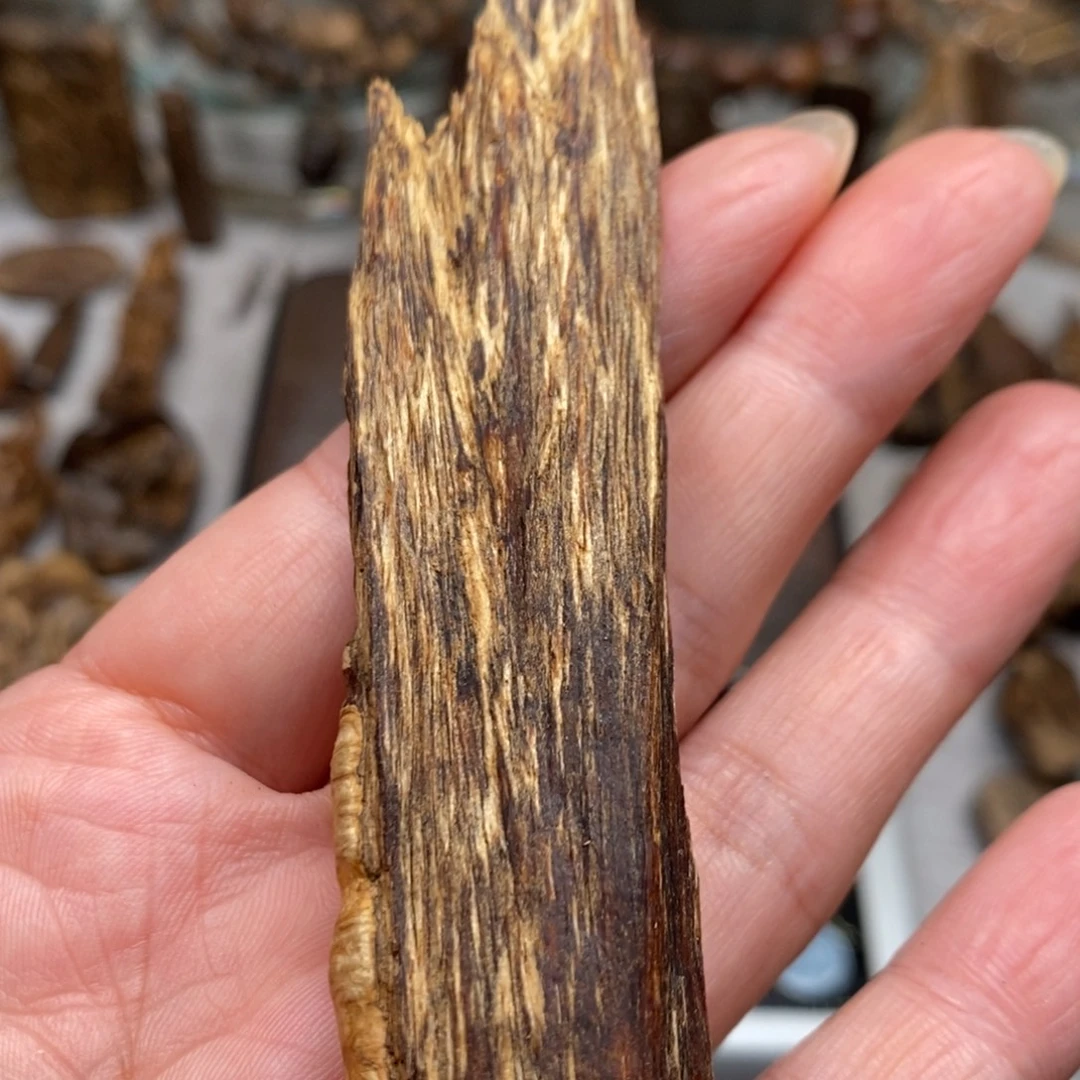 沉香沉香碎屑达拉干