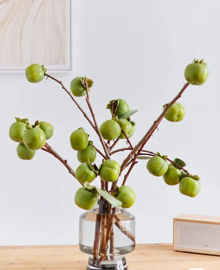 【花拾间】柿子 柿柿如意  观果花材