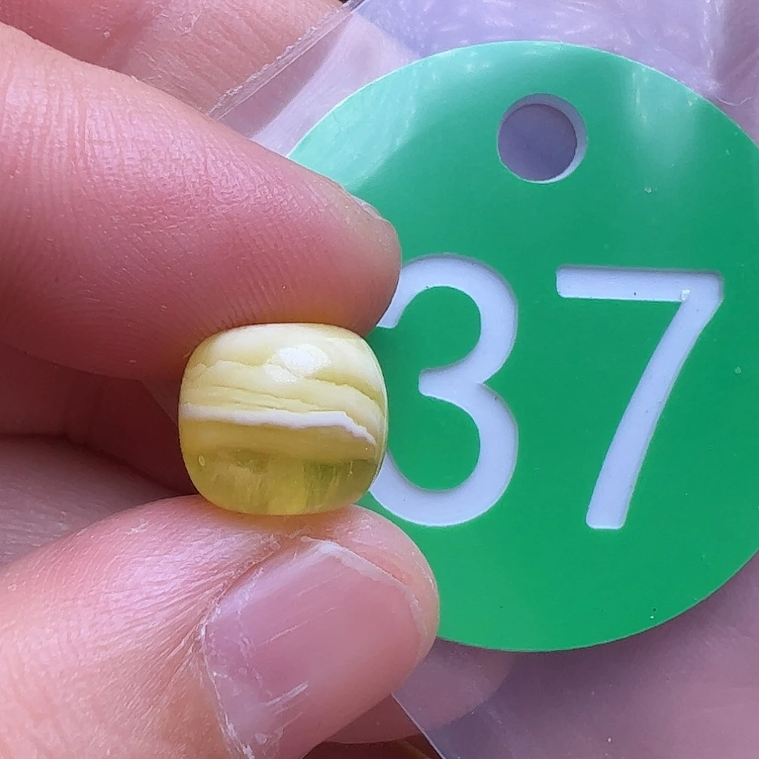 蜜蜡未镶嵌珠宝奇石10mm花粉