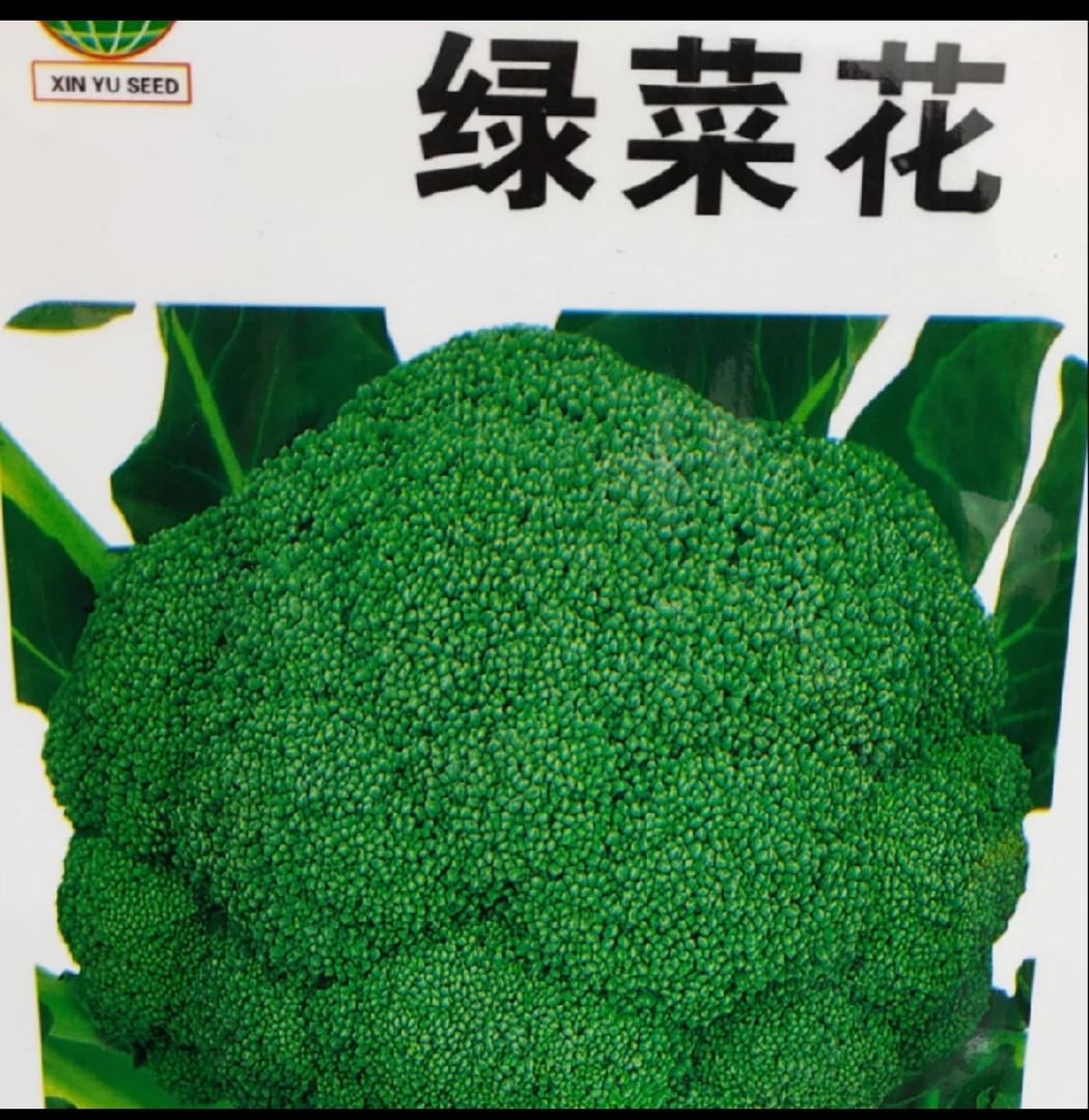 绿菜花西兰花种子（新老包装随机发货）