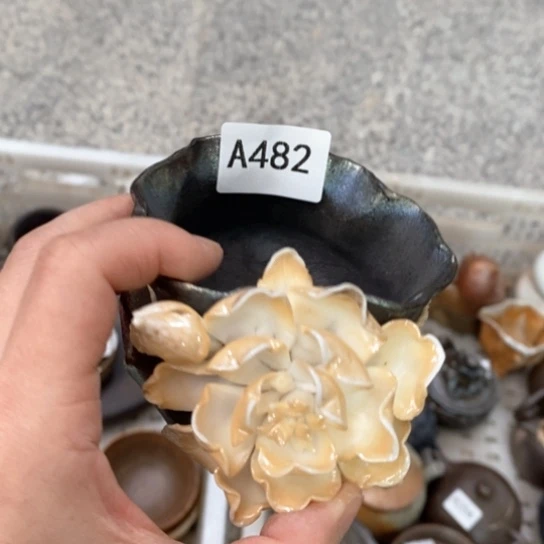 福利多多福利多多