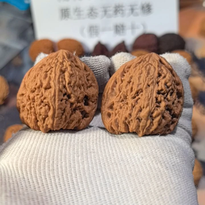 酸***吃涛子南将石直播拍