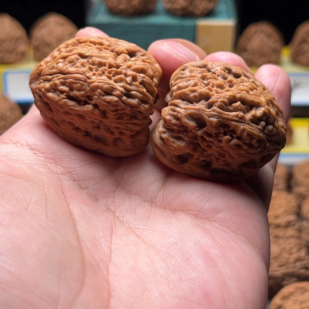 把件文玩核桃杨****)逐鹿高炮