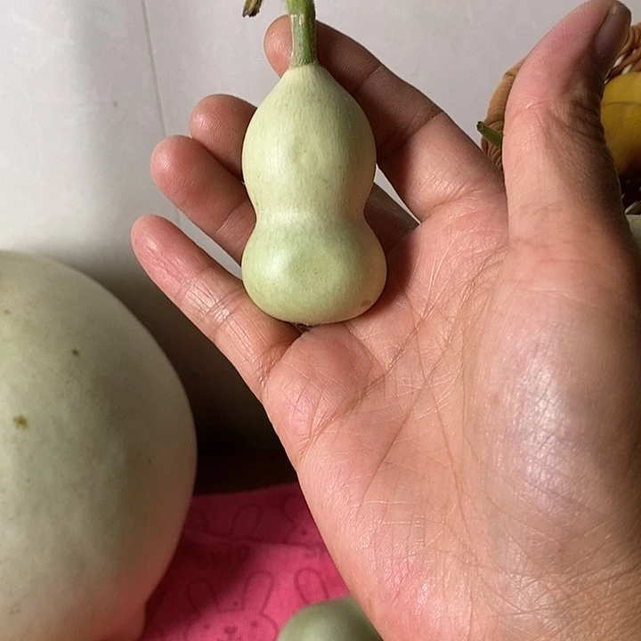 辰***屹青皮葫芦手把件葫芦