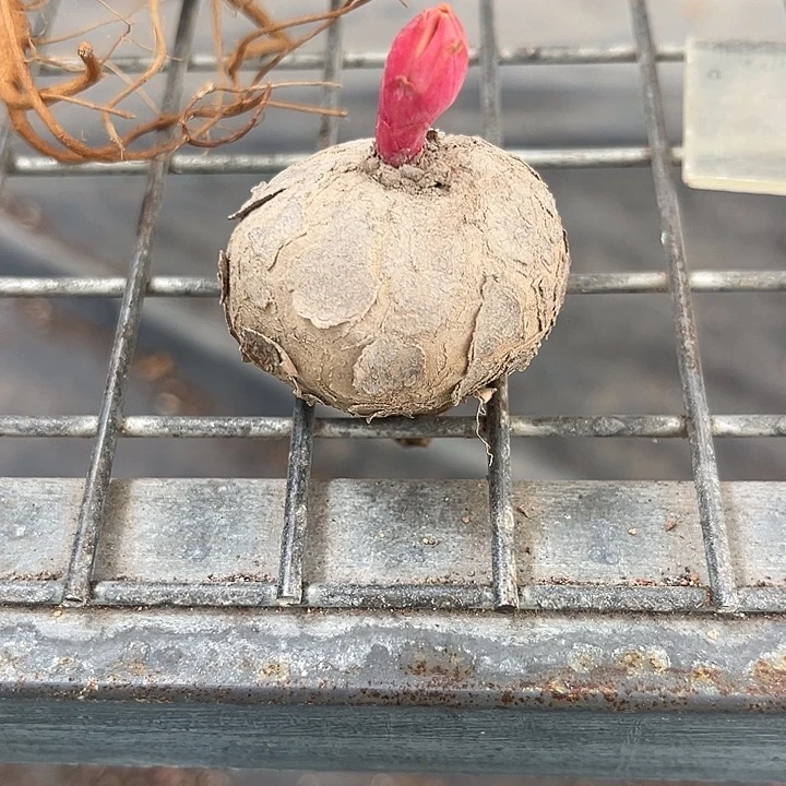 家****我也不知道我为什么要这样对