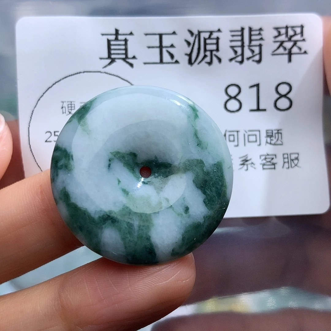 翡翠未镶嵌颈饰818