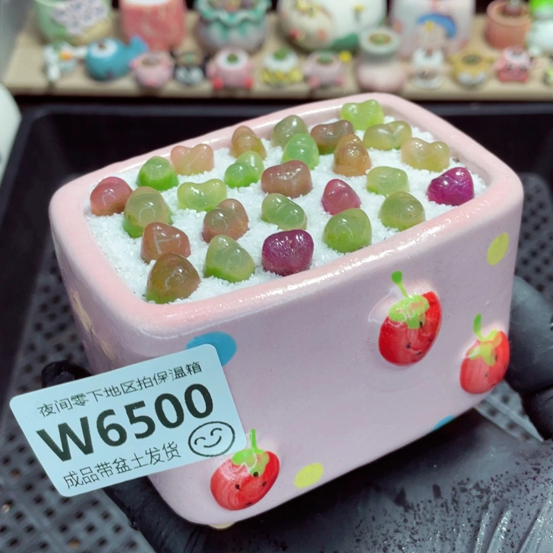 夜间零下地区拍保温箱w6500
