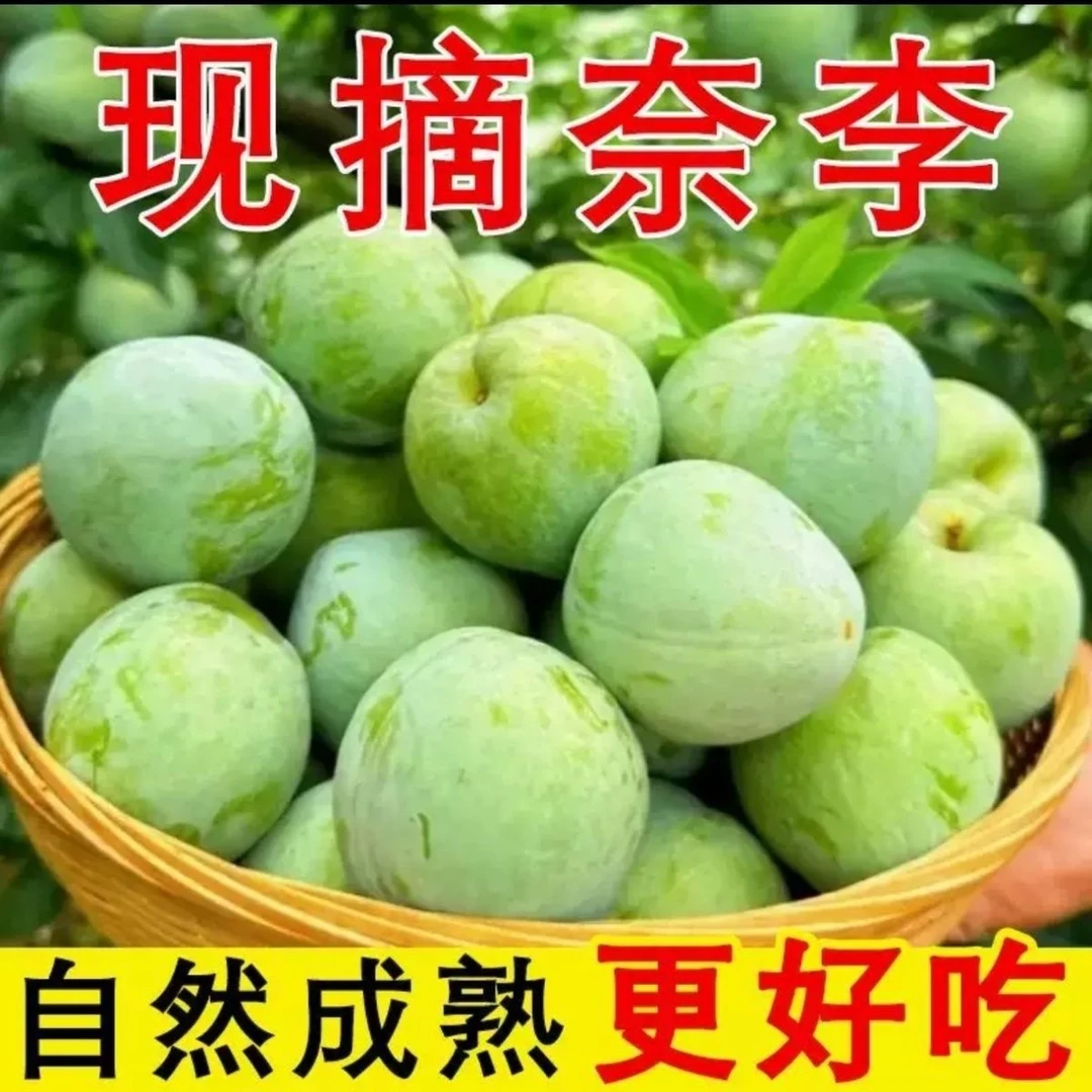 正宗新鲜油奈李酸甜可口孕妇优选应季水果