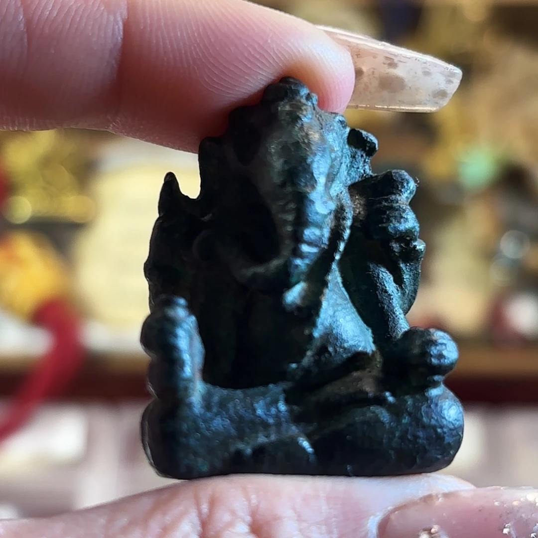 好好好好好好好好好看