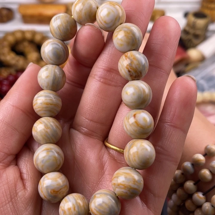 驼骨其他人工养殖12