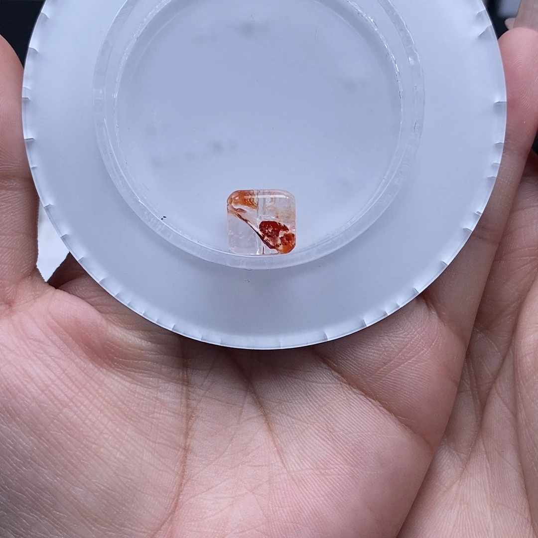 未镶嵌手链水晶蝴蝶