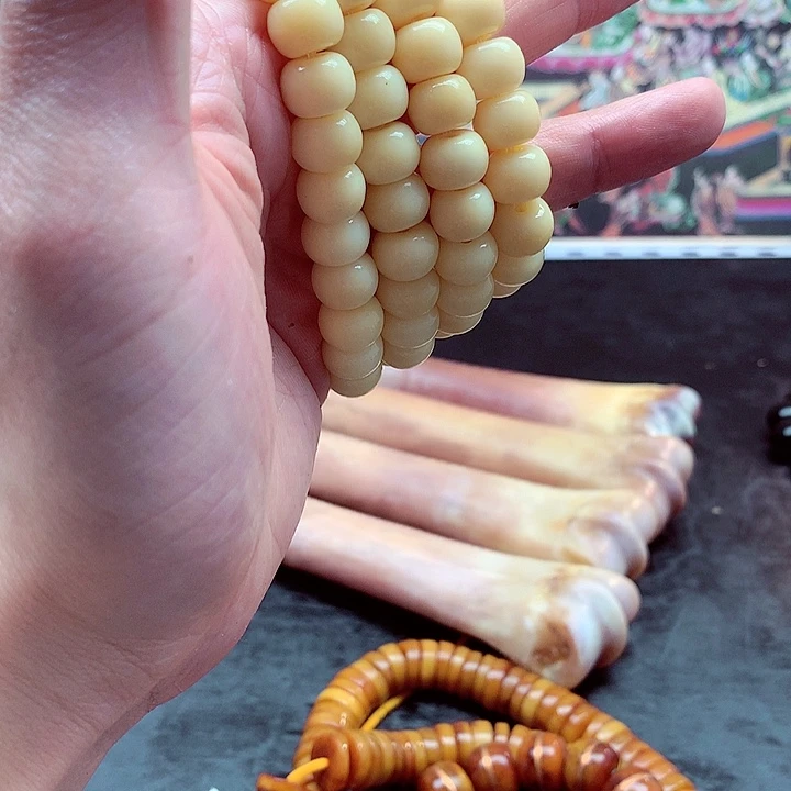 手串/手链驼骨手链项链