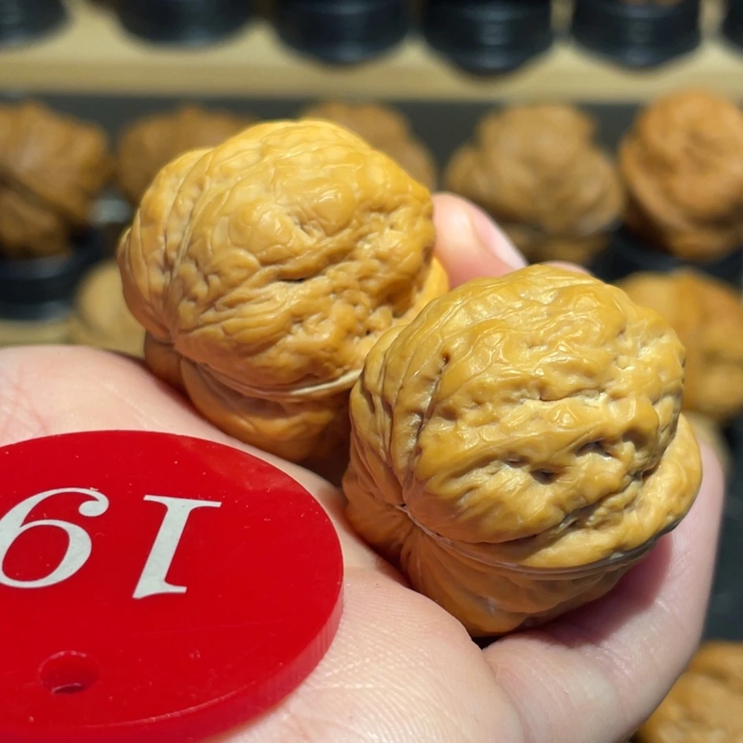 大肠肌肉蛙核桃32