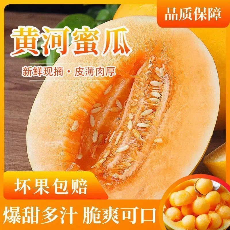 甘肃民勤蜜瓜黄河蜜瓜新鲜水果应季整箱黄金脆香多汁哈密瓜脆甜