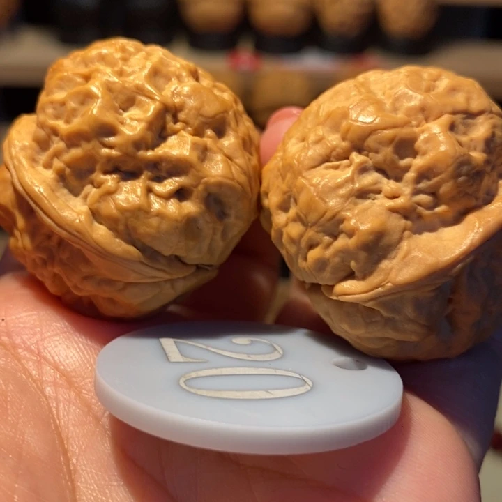 铁核桃元宝玉蟾37尺寸