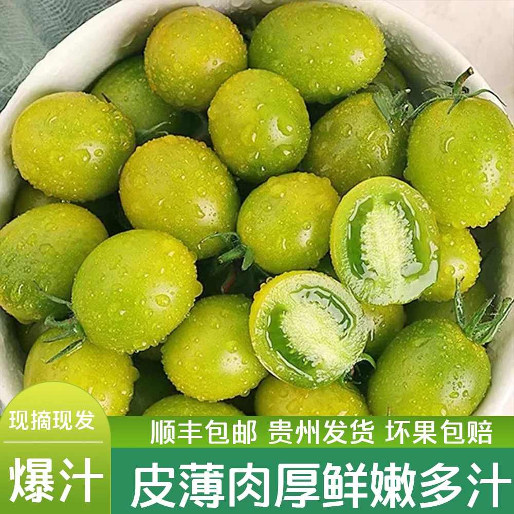 青口蜜圣女果绿色青甜樱桃小番茄新鲜绿千禧即食小柿子生吃顺丰