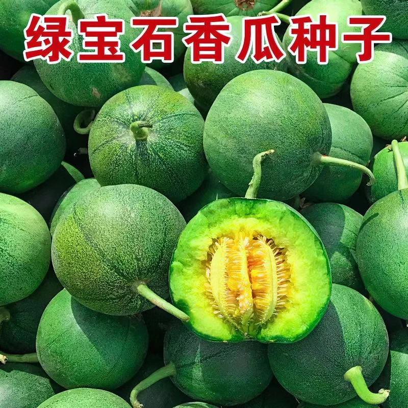 【满5包包邮】绿宝甜瓜种籽特大春季水果种子超甜西瓜香瓜四季种植