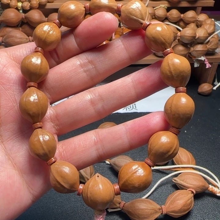 橄榄核其他苏州大学出版社