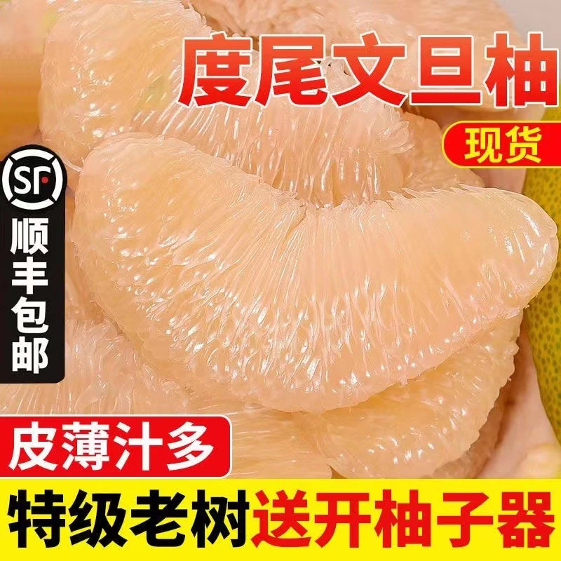 正宗莆田度尾文旦柚福建当季果园现摘红心柚子孕妇时令新鲜水果