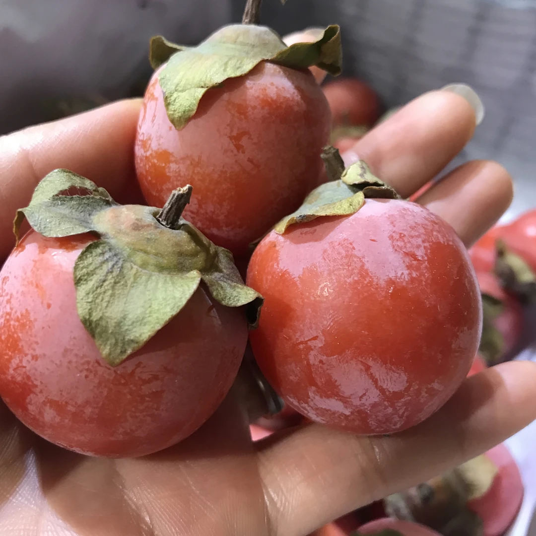 吊柿小柿子450g/份